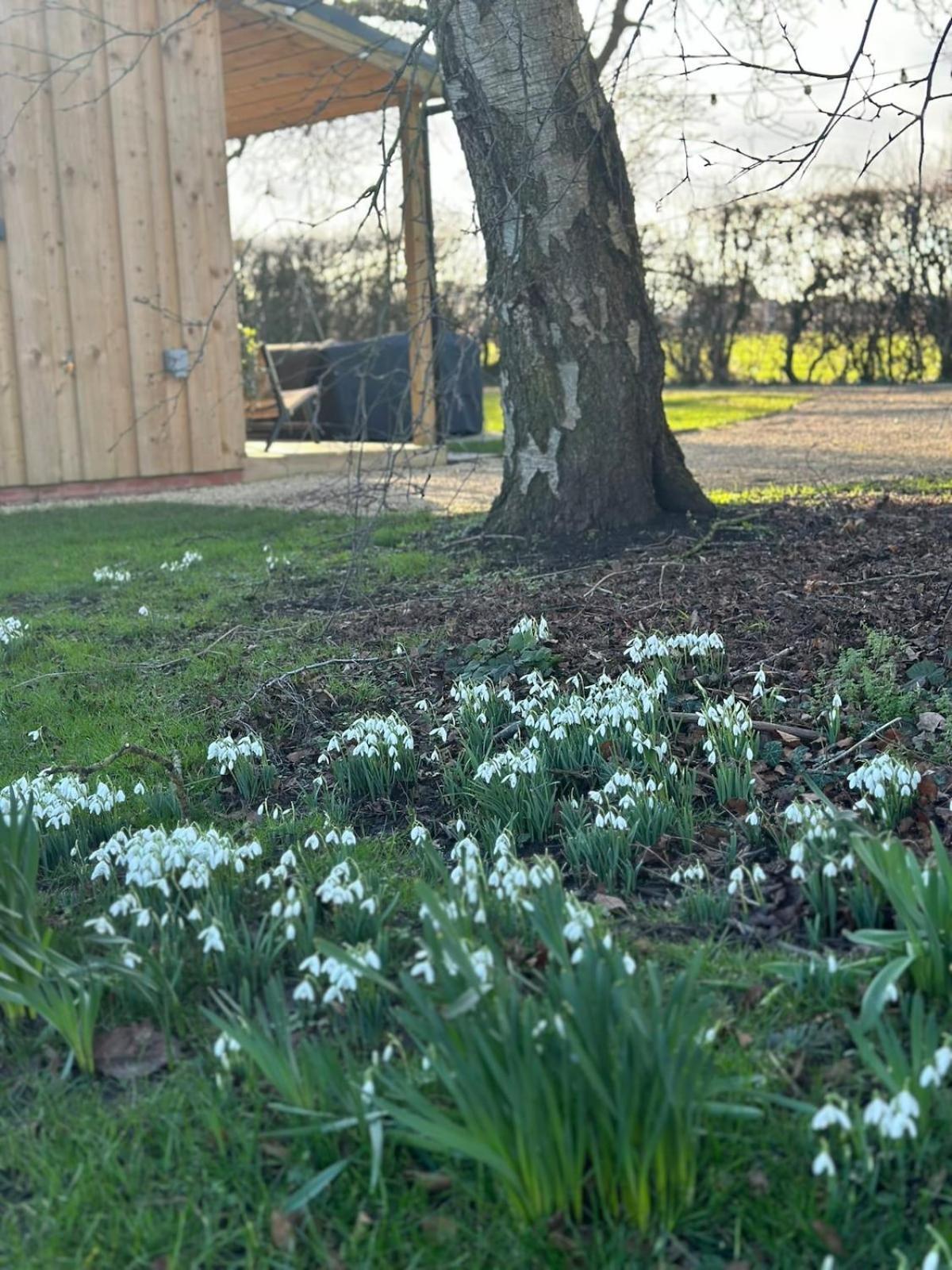 Meadows Lodge York Zewnętrze zdjęcie